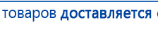 НейроДэнс ПКМ купить в Камышлове, Аппараты Дэнас купить в Камышлове, Скэнар официальный сайт - denasvertebra.ru