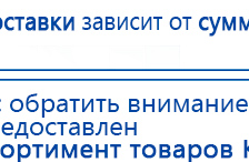 Пояс электрод купить в Камышлове, Электроды Меркурий купить в Камышлове, Скэнар официальный сайт - denasvertebra.ru