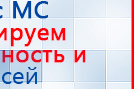 Пояс электрод купить в Камышлове, Электроды Меркурий купить в Камышлове, Скэнар официальный сайт - denasvertebra.ru